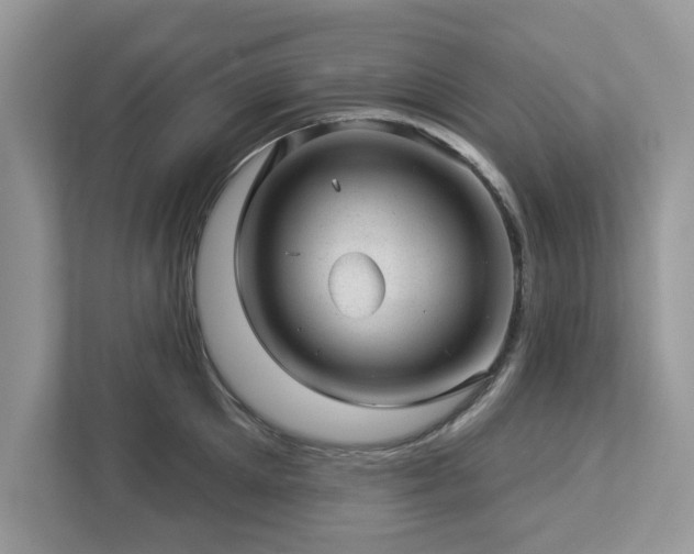 X0000112980905200908271141