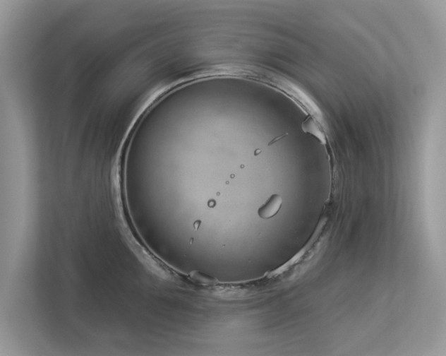 X0000112980907200908271141