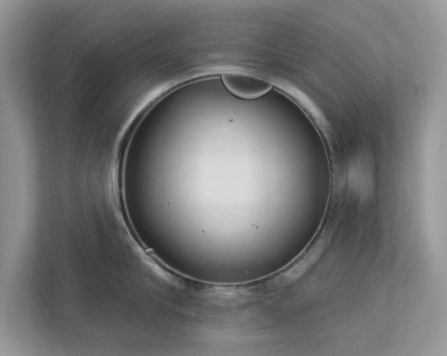 X0000112980910200908271140