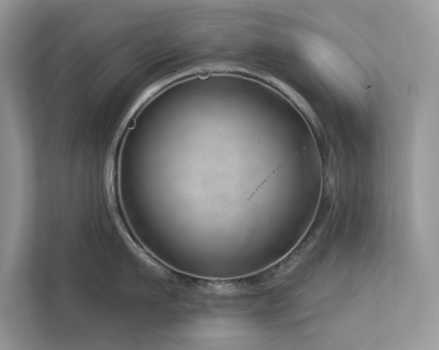 X0000112980911200908271140