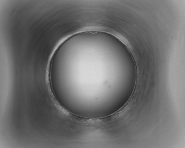 X0000112980912200908271140