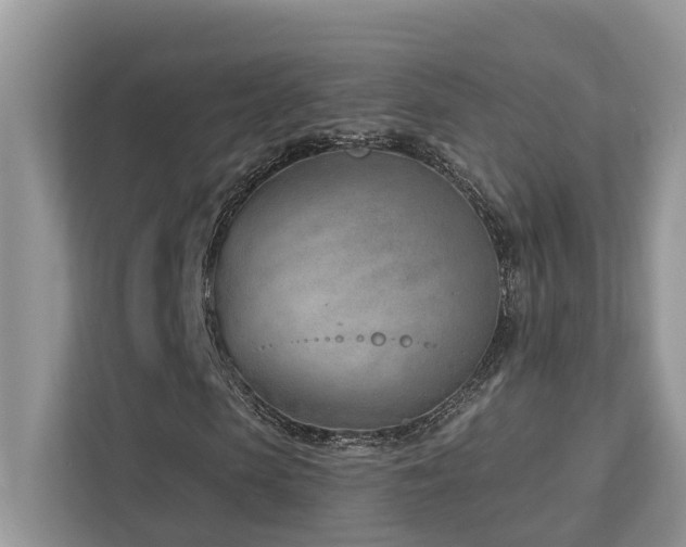 X0000112980913200908271140