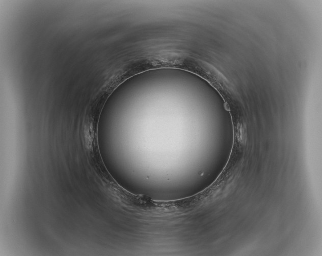 X0000112980915200908271140