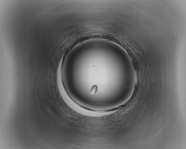 X0000112980916200908271140