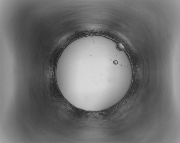 X0000112980918200908271140