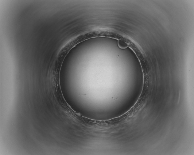 X0000112980919200908271140