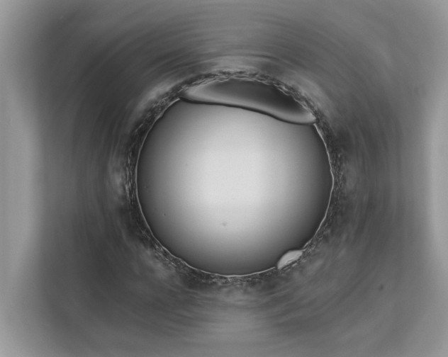 X0000112980920200908271140