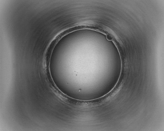 X0000112980923200908271140