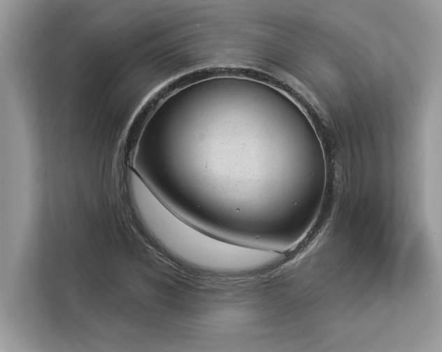 X0000112980926200908271140