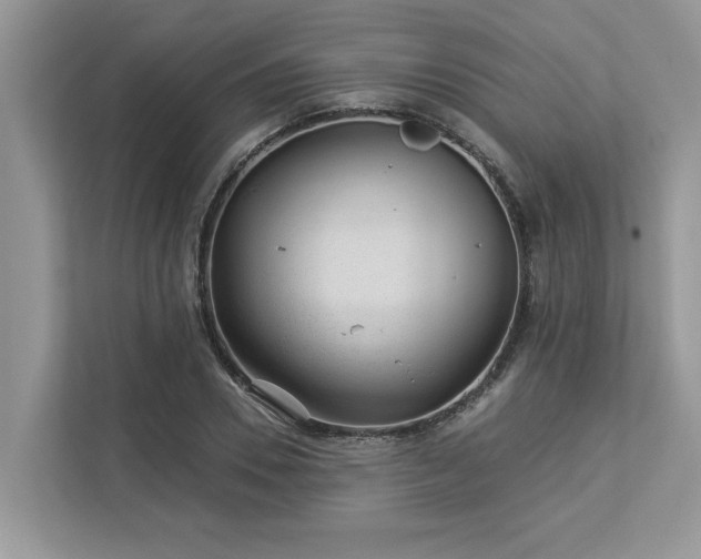X0000112980930200908271140