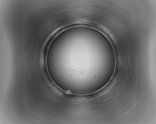 X0000112980931200908271140