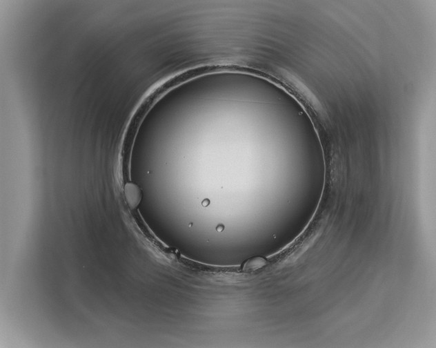 X0000112980932200908271140