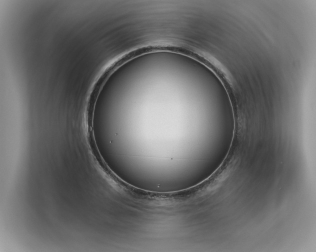 X0000112980935200908271140