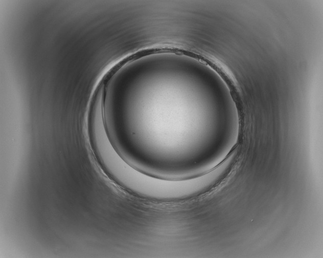 X0000112980936200908271140