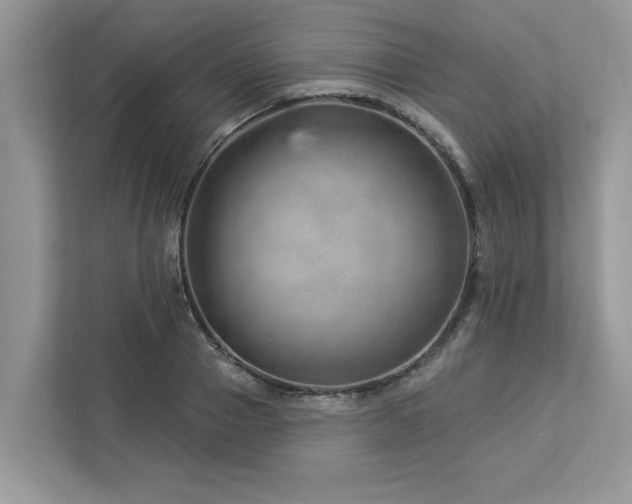 X0000112980937200908271140