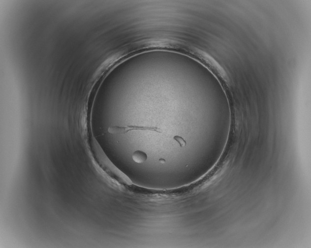 X0000112980938200908271140