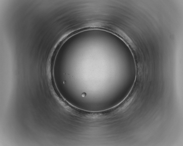 X0000112980939200908271140