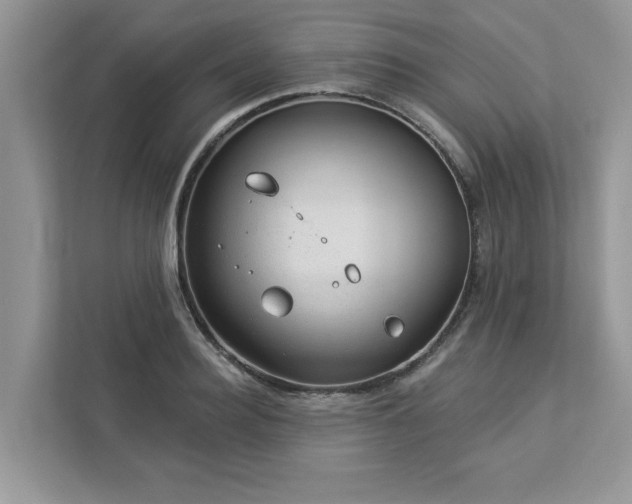 X0000112980940200908271140