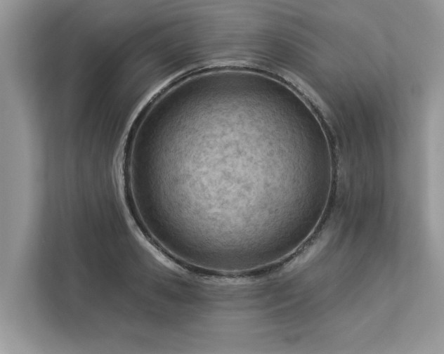 X0000112980941200908271140