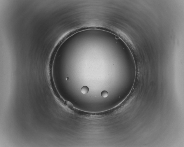 X0000112980942200908271140