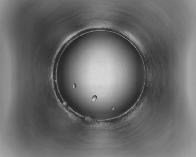 X0000112980943200908271140