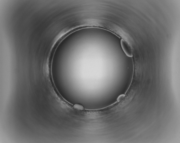 X0000112980944200908271140
