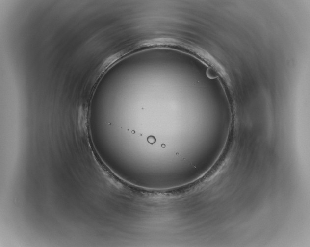 X0000112980945200908271140