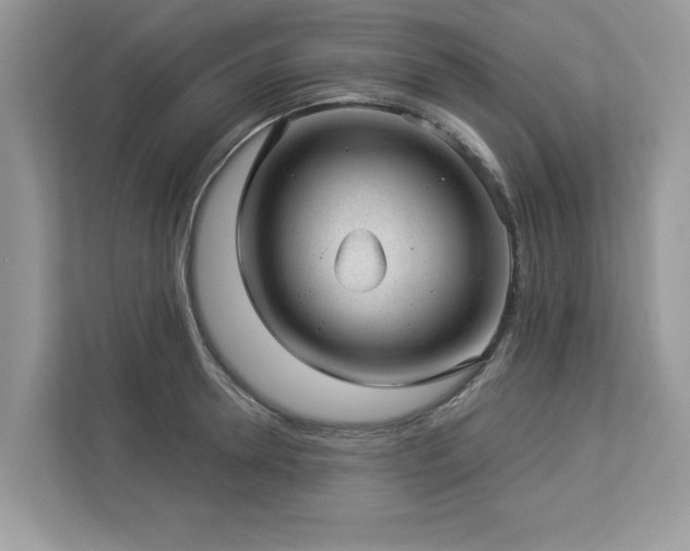 X0000112980946200908271140