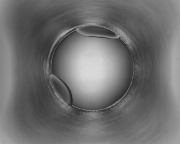 X0000112980948200908271140
