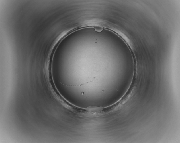 X0000112980949200908271140