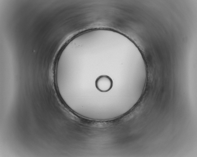 X0000112980950200908271140