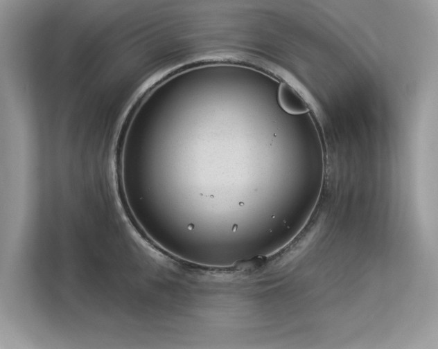 X0000112980951200908271140
