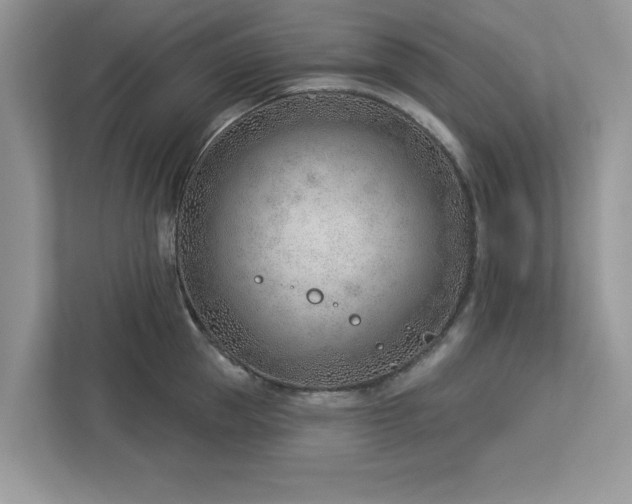 X0000112980953200908271140