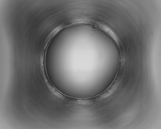 X0000112980954200908271140