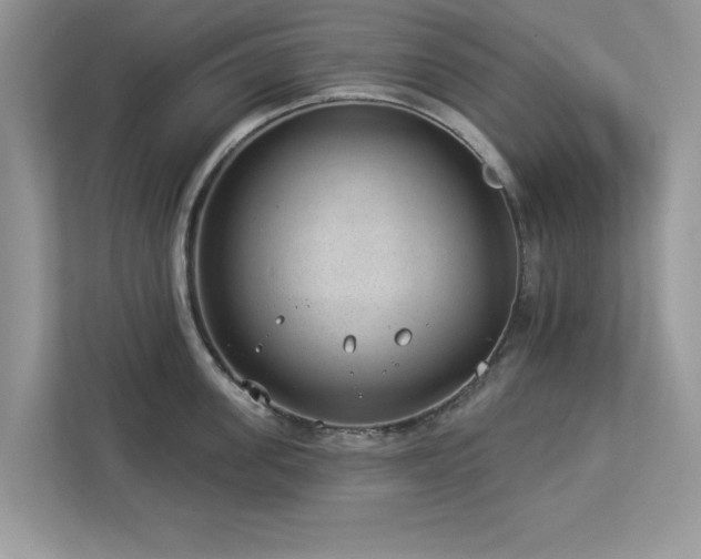X0000112980955200908271140