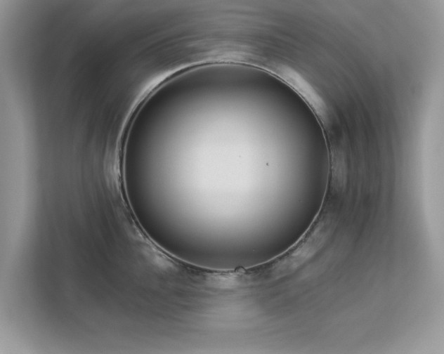 X0000112980956200908271140