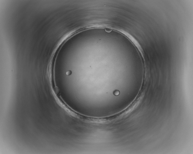 X0000112980957200908271140