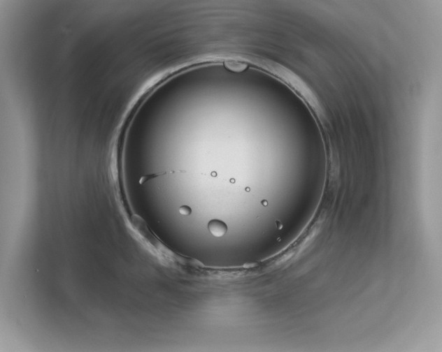 X0000112980958200908271140