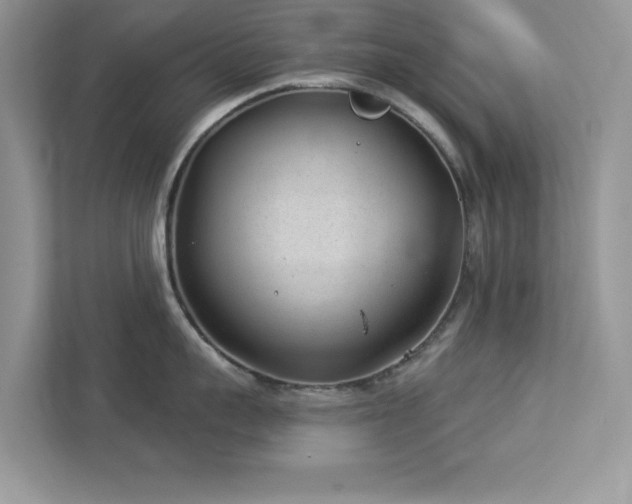 X0000112980959200908271140