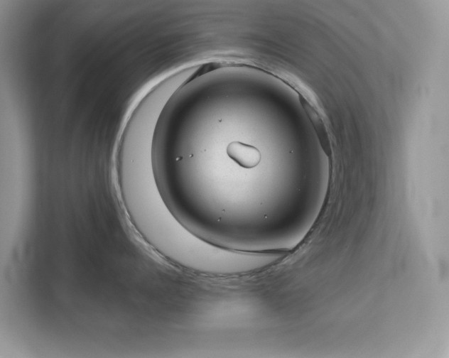 X0000112980960200908271140