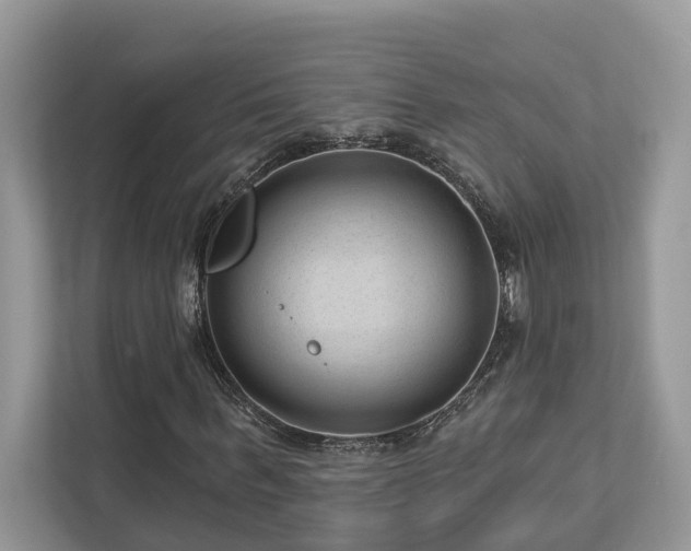 X0000112980963200908271140