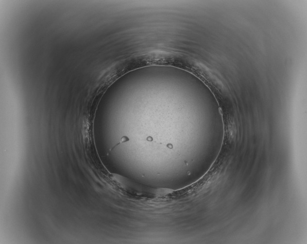 X0000112980964200908271140