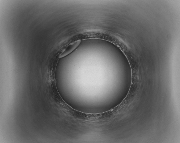 X0000112980965200908271140