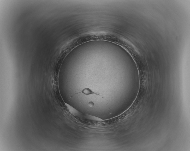 X0000112980966200908271140