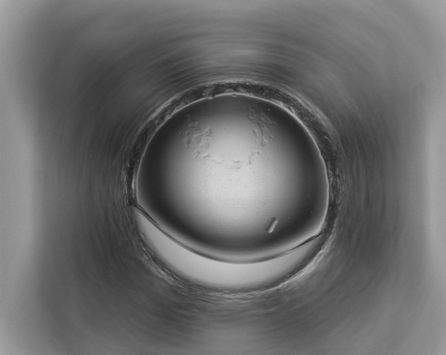 X0000112980969200908271140