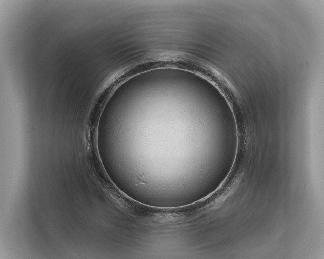 X0000112980970200908271140