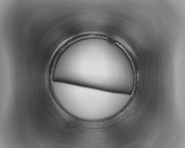 X0000112980972200908271140