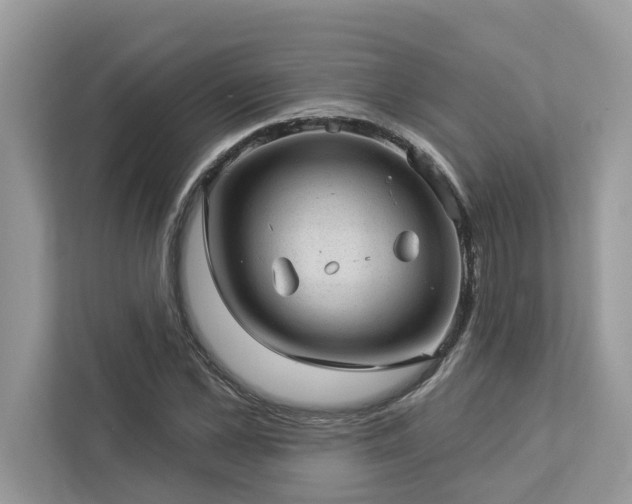 X0000112980973200908271140