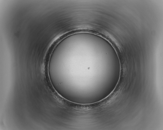 X0000112980975200908271140