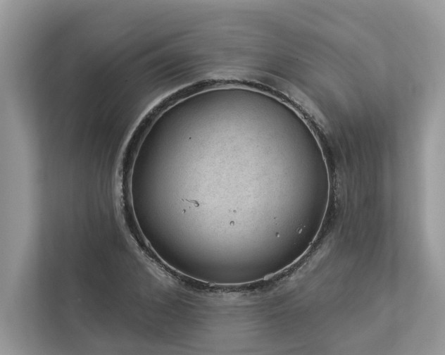 X0000112980976200908271140